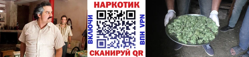 Купить наркотики Борзя Alpha PVP  Амфетамин  Бутират  Меф  Бошки Шишки  Галлюциногенные грибы 