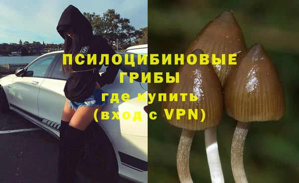 скорость Алзамай