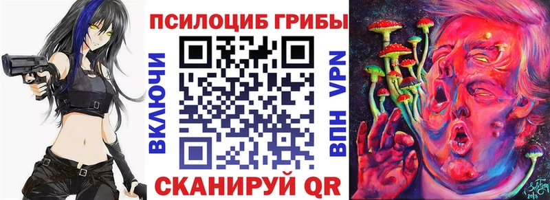 как найти наркотики  Борзя  Галлюциногенные грибы Cubensis 