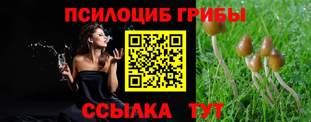 Борзя  Галлюциногенные грибы Magic Shrooms  Вход с VPN  Псилоцибиновые грибы ЛСД 