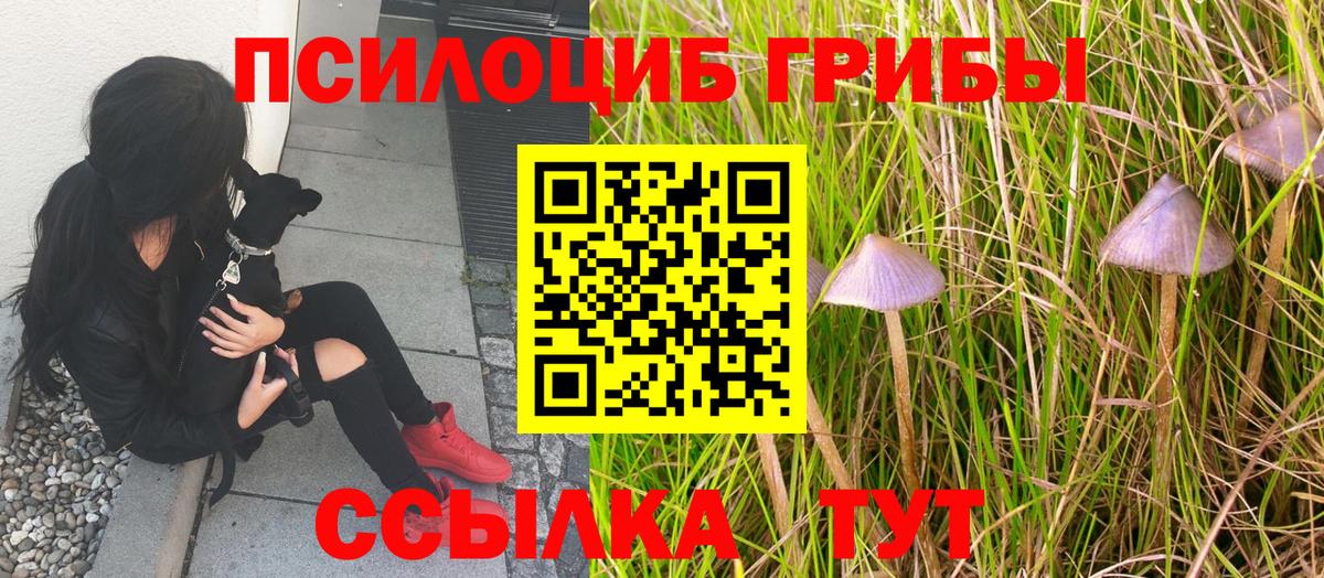 Галлюциногенные грибы мицелий Борзя