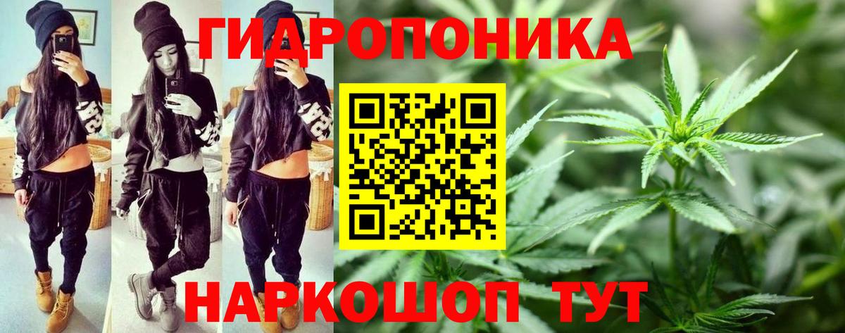 Бошки Шишки OG Kush Борзя